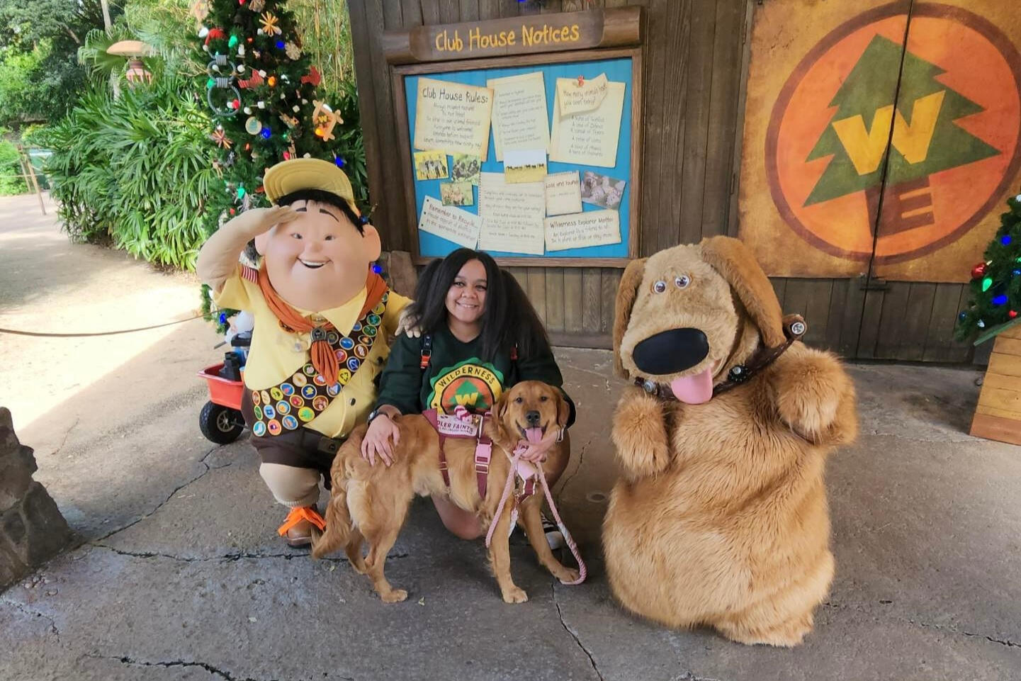 Dark golden retriever wearing a pink and grey service dog vest and cape with an upright handle.